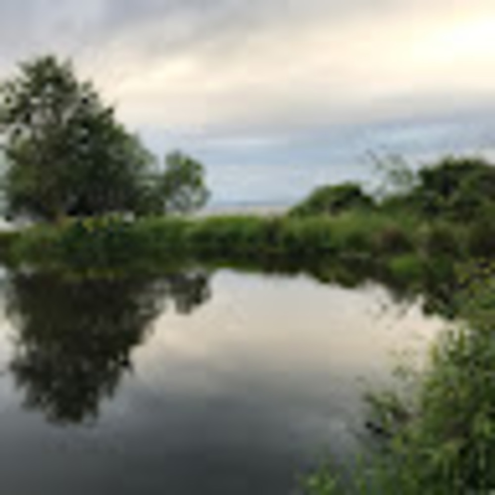 Meet your Posher, Alessandra